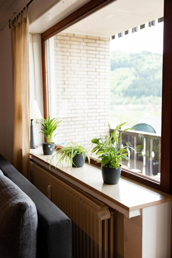 Ferienwohnung Mit Seeblick — Sport Und Erholung Вінтерберг Екстер'єр фото